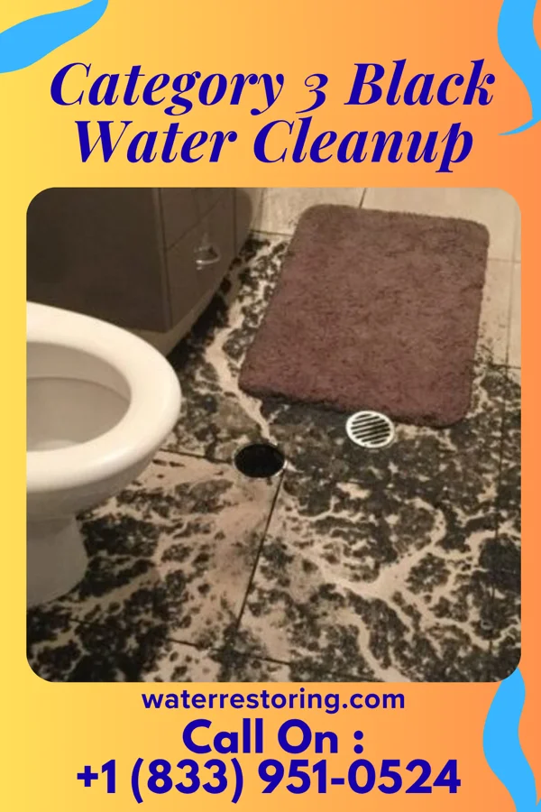 Category 3 Black Water Cleanup in King City, MO